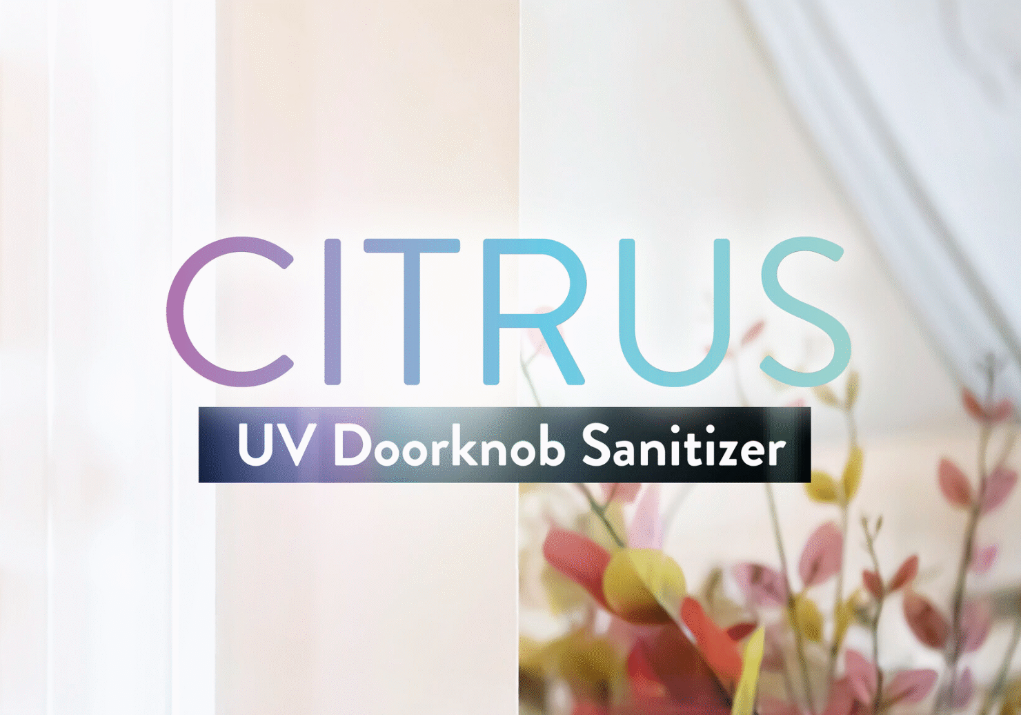 citrus_2
